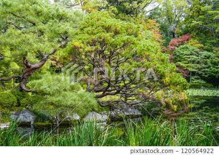Heian Shrine West Garden (November) Heian Shrine West Garden (November) 120564922