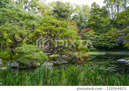 平安神宮西宮庭園（11月） 120564923