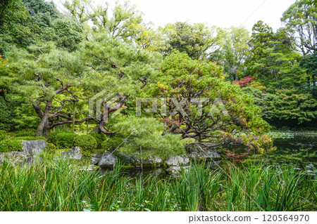 平安神宮西宮庭園(11月) 平安神宮西宮庭園(11月) 120564970