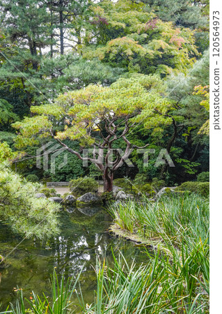 Heian Shrine West Garden (November) 120564973