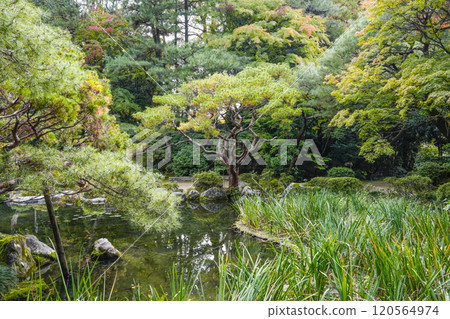Heian Shrine West Garden (November) Heian Shrine West Garden (November) 120564974