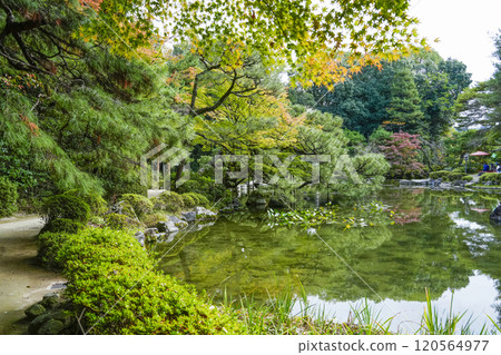 Heian Shrine Central Garden (November) 120564977