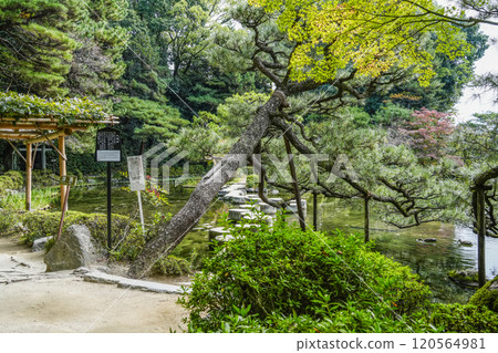 Heian Shrine Nakashinen (November) Garyu Bridge 120564981
