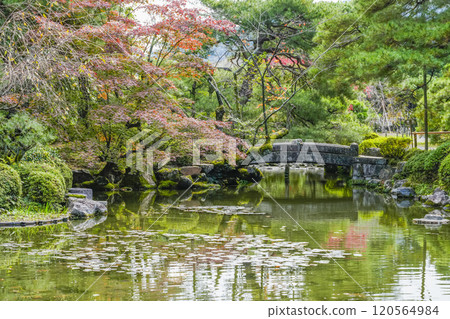 平安神宮中信念(11月) 平安神宮中信念(11月) 120564984