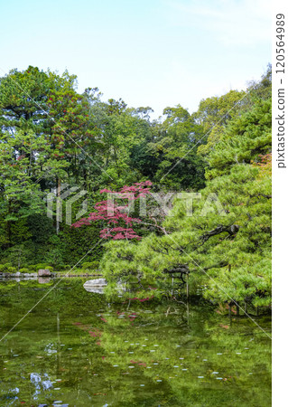 Heian Shrine Central Garden (November) 120564989