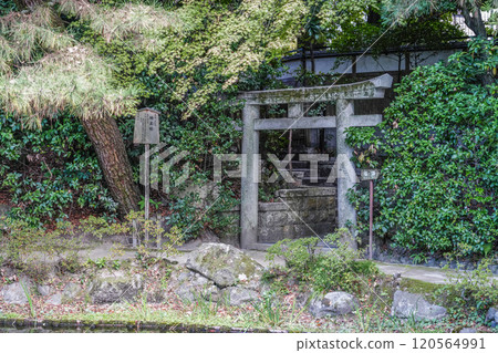 平安神宮中信念（11月）地秋社 120564991