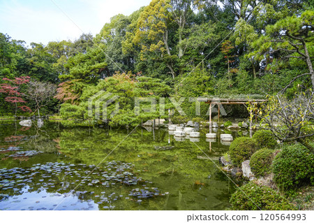 平安神宮 中信念 (11 月) 臥龍橋 120564993