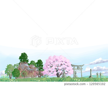 櫻花樹和神社 120565102