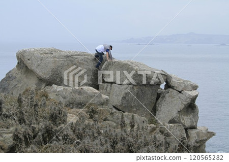 Isla Damas near La Serena Chile 120565282