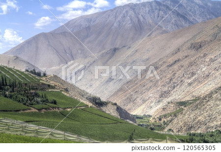Elqui valley Chile 120565305