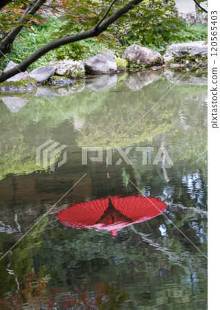 平安神宮中信念 (11 月) 倒映在池塘裡的日本傘 120565403