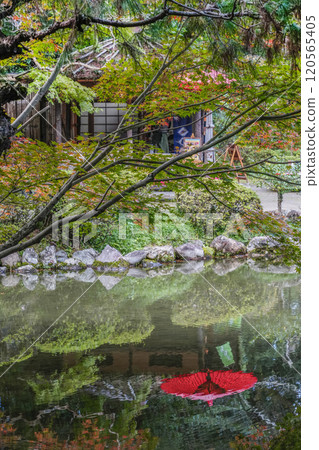 平安神宮中信念（11月） 120565405