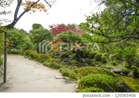 Heian Shrine (November) From the Central Garden to the East Garden 120565408