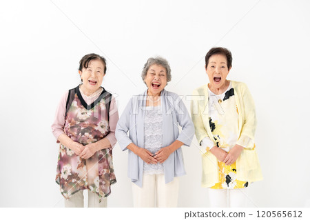 高級女人微笑的肖像 120565612