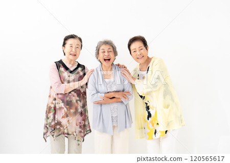 高級女人微笑的肖像 120565617