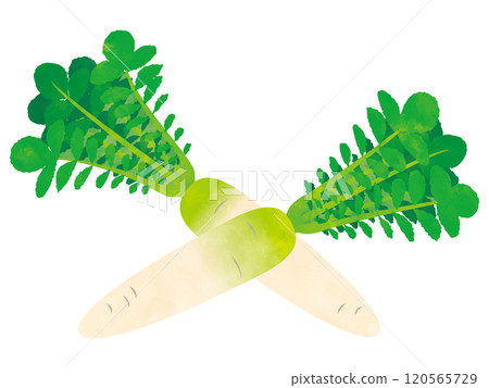 蔬菜蘿蔔手繪風格 蔬菜蘿蔔手繪風格 120565729