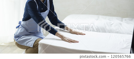 美麗的女人清潔 120565766