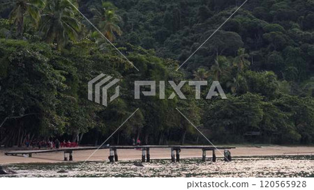 Sunset Over Secluded Beach with Dense Jungle and Abandoned Pier Sunset Over Secluded Beach with Dense Jungle and Abandoned Pier 120565928