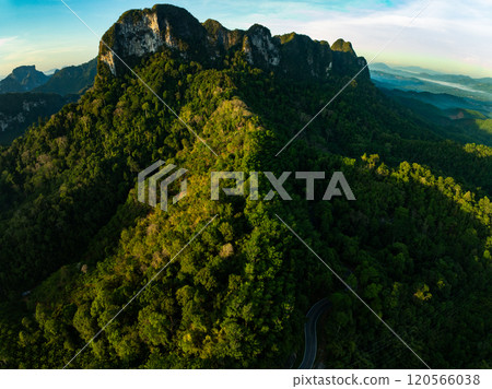 Aerial view Tropical Rainforest trees mountains,Top view green forest background 120566038