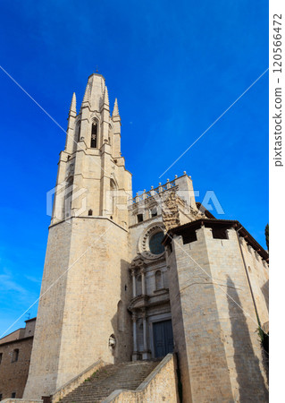 The Collegiate Church of St. Felix or Basilica of Sant Feliu in Girona, Spain 120566472
