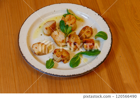 Delicious fried scallops on a table 120566490
