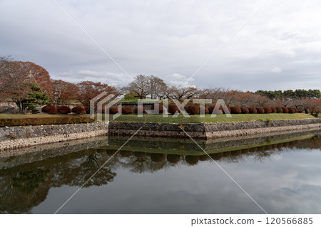 Goryokaku Excavation 120566885