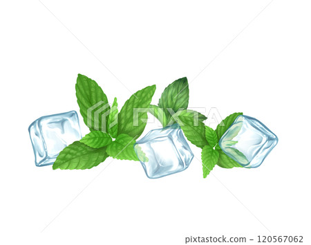 Hand drawn illustration with ice cubes and mint 120567062