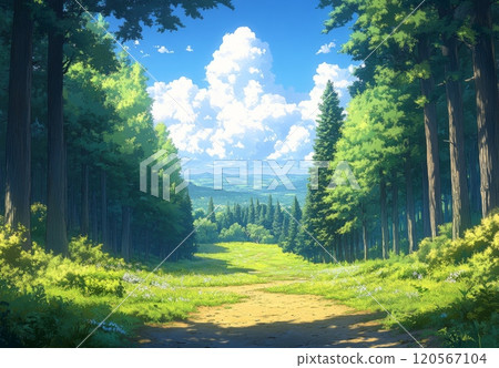 茂密的森林背景 120567104