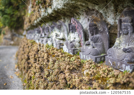 A tranquil scene of stone Buddha statues lined up at Reiganji Temple in Yame City 120567535