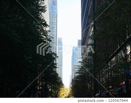 Skyscrapers seen from Marunouchi Nakadori Skyscrapers seen from Marunouchi Nakadori 120567944