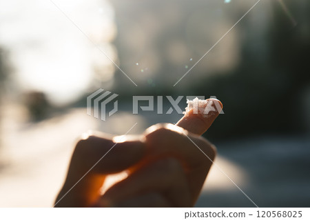 Snowflakes on fingertips and backlit scenery Snowflakes on fingertips and backlit scenery 120568025