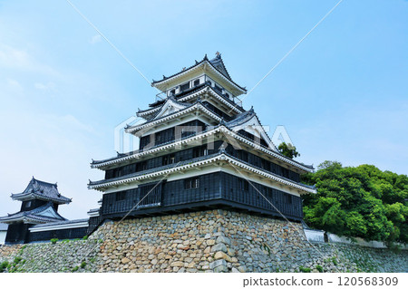 大分縣的中津城 120568309