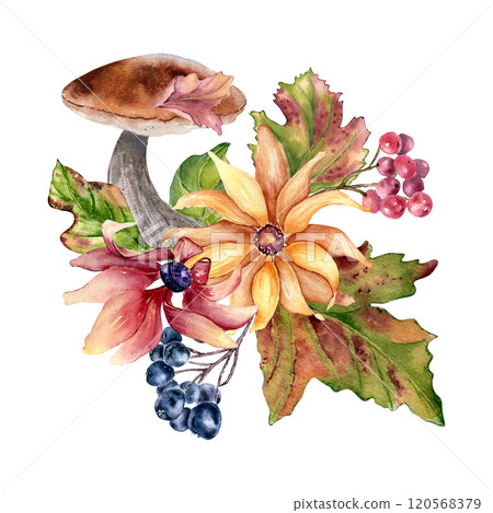 Forest composition with yellow flowers and maple red leaves, berries in watercolor isolated. Autumn illustration with ceps, black chokeberry and wild flora hand drawn. Fall foliage botanical sketch. 120568379