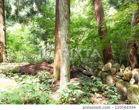 Strange stone Buddha in the forest: Tateishiyama Shrine Strange stone Buddha in the forest: Tateishiyama Shrine 120568394