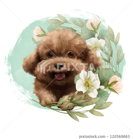 Cute poodle dog illustration. Hand drawn puppy and flowers 120568663