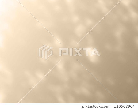 Shadow effect on beige wall, sunbeams reflection, blurred soft shadow from window and leaves, vector background mockup 120568964