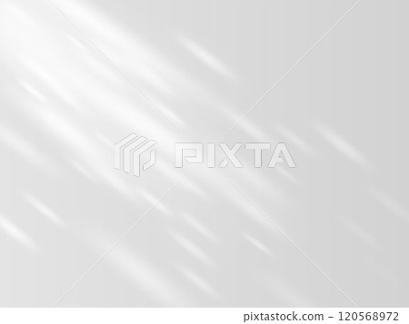 Shadow effect on white wall, sunbeams reflection, blurred soft shadow from window and leaves, vector background mockup 120568972