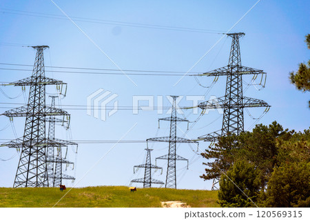 High voltage towers Electric pole. Power line support with wires for electricity transmission. High voltage grid tower with wire cable at distribution station. Energy industry, energy saving High voltage towers Electric pole. Power line support with wires for electricity transmission. High voltage grid tower with wire cable at distribution station. Energy industry, energy saving 120569315