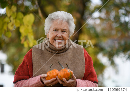 Portrait of elderly woman on walk in the park during warm autumn day, holding handful of pumpkins. 120569874