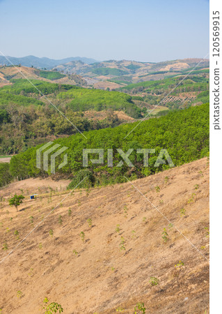 The biggest cause of forest loss is agricultural deforestation ,environmental damage in Southeast Asia , global warming and environment. The biggest cause of forest loss is agricultural deforestation ,environmental damage in Southeast Asia , global warming and environment. 120569915
