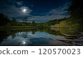 Moon and forest reflected in the pond 120570023