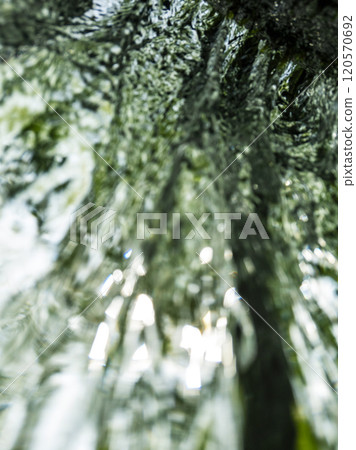 流淌在新綠中的清澈溪流(木澤溪) 流淌在新綠中的清澈溪流(木澤溪) 120570692