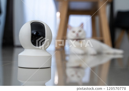 home security camera Smart CCTV cameras detect your beloved cat for safety. 120570778