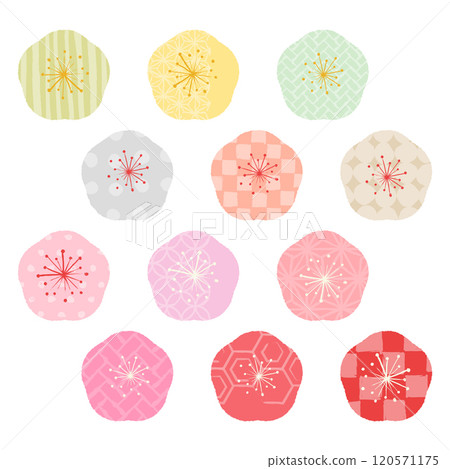 Colorful Japanese pattern various plum blossom vector illustration set Colorful Japanese pattern various plum blossom vector illustration set 120571175