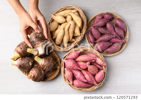 Organic raw sweet potatoes and taro with hand on white background, Table top view Organic raw sweet potatoes and taro with hand on white background, Table top view 120571293