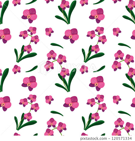 Seamless Pink Orchid Flower Pattern Seamless Pink Orchid Flower Pattern 120571334