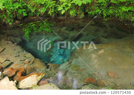 大池（由布市莊內町） 120571430