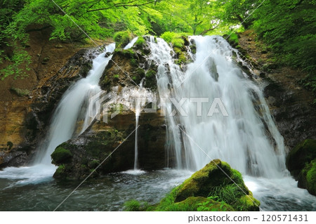 綠水聞名的瀑布（由布市莊內町大池） 120571431