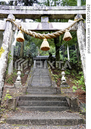 The torii gate and stone steps of Nemichi Shrine, where there is a nameless pond (commonly known as Monet's Pond) surrounded by forest 120571662