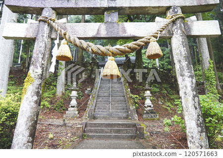 The torii gate and stone steps of Nemichi Shrine, where there is a nameless pond (commonly known as Monet's Pond) surrounded by forest 120571663